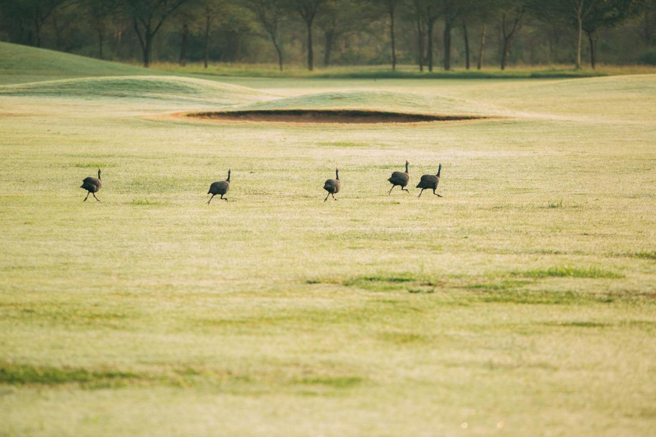 ホテル The Safari House Usa River エクステリア 写真